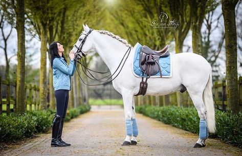 Grey Horse Tack Colors, Horse Tack Colors, Horse Photo, Horse Riding Clothes, Dream Horse, Tack Sets, Horse Gear, Grey Horse, Horse Trailer