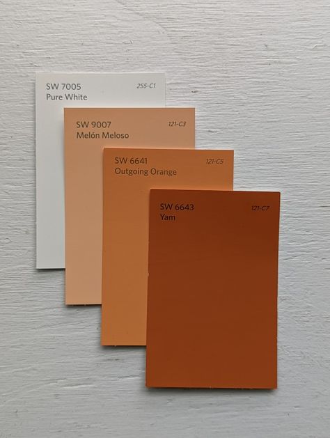 Orange Paint Colors For Living Room, Terra Cotta Paint Color Bathroom, Burnt Orange Sherwin Williams, Sherwin Williams Burnt Orange Colors, Rust Color Accent Wall, Sherwin Williams Desert Colors, Burnt Orange Room Paint, Olden Amber Sherwin Williams, Rust Wall Paint