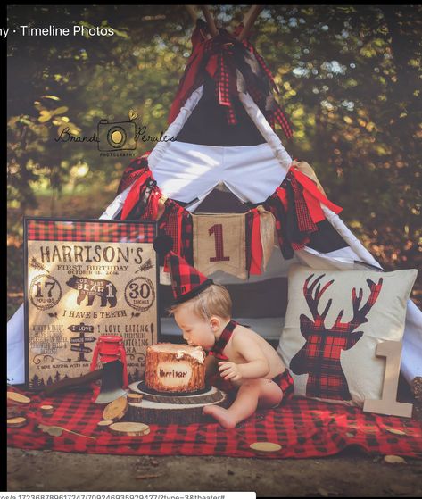 One Happy Camper Buffalo Plaid, Lumberjack First Birthday Photoshoot, Buffalo Plaid Birthday Party Boys, Lumberjack Smash Cake, 1st Birthday Boy Photoshoot, 1st Birthday Boy Decorations, Forces Of Destiny, Lumberjack First Birthday, Kelsey Rose