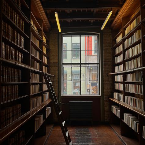 forever thinking of this beautiful library i saw in copenhagen this summer 📚🤍 hello dark academia vibes! Copenhagen Library, Warm Academia Aesthetic, Warm Academia, Dark Academia Vibes, Flora Danica, Beautiful Library, Academia Aesthetic, Dark Academia, I Saw