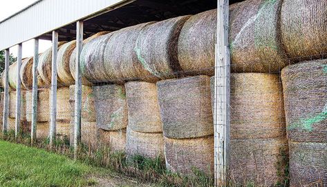 When I began my career as an extension agent in 1977, there was not a round baler in my county. Hay Shed, Beef Farming, Hay Storage, Chicken Barn, Beef Cow, Ranch Ideas, Horse Barn Plans, Hay Barn, Barn Storage