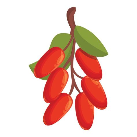 Barberry fruit icon cartoon vector. Goji berry Slime Rancher, Fruit Icons, Goji Berry, Goji Berries, Birthday Cards Diy, Diy Cards, Slime, Vector Art, Berry