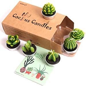 Cactus Cup, Candle Bridal Shower Favors, Christmas Cactus Plant, Cactus Candles, Succulents Candles, Baby Succulents, Succulent Favors, Tealight Candles, Succulent Gifts