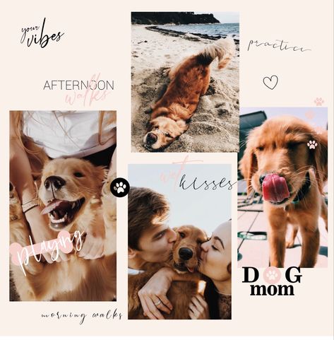 Instagram Story Stickers are the perfect way to make your Instagram stories stand out and make your social media look cute and professional. Dog Instagram Story Stickers, Dog Birthday Instagram Story, Puppy Instagram Story, Dog Instagram Story, Dog Instagram Captions, Igs Ideas, Instagram Story Sticker, Instagram Story Stickers, Three Dog Night