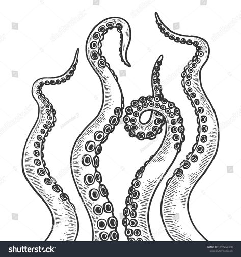 Octopus tentacle set sketch engraving vector illustration. Scratch board style imitation. Black and white hand drawn image. #Ad , #sponsored, #vector#engraving#Scratch#illustration Octopus Tentacles Drawing, Octopus Legs, Kraken Art, Octopus Drawing, Sharpie Drawings, Arm Drawing, Petit Tattoo, Octopus Tattoos, Octopus Tentacles