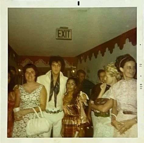 International Hotel Las Vegas, Elvis 70s, Shelley Fabares, Elvis Presley Priscilla, Elvis Pictures, Elvis Jumpsuits, Elvis Presley Images, Marie Presley, Elvis Presley Pictures