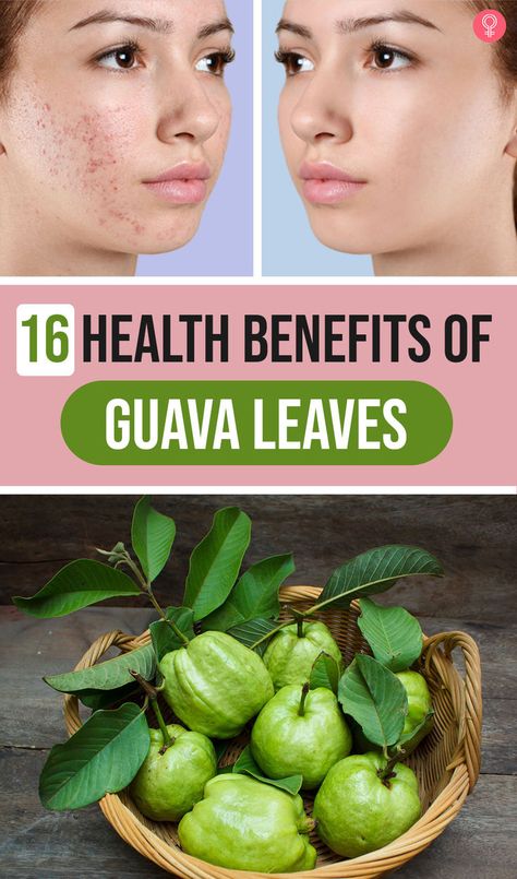 Many of us enjoy eating guavas and are aware of their many natural health benefits as well! However, have you ever wondered about the benefits of guava tree leaves? Yes, you got that right! More often than not, we just focus on the fruits and vegetables, and discard the leaves that come attached to them! #homeremedies #remedies #naturalremedies #skin #skincare #glowskin #bodyscrubs #skincaretips #healthyskin Guava Health Benefits, Guava Benefits, Guava Leaves, Guava Tree, Guava Fruit, Guavas, Fruit Benefits, Health Matters, Warning Signs