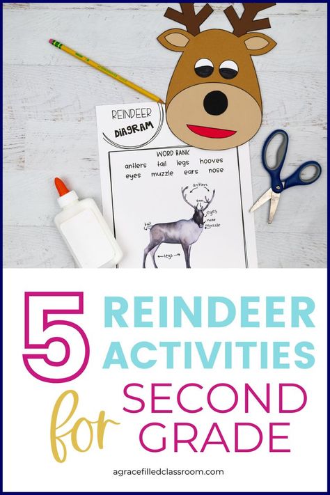 A reindeer craft and diagram worksheet Reindeer Writing Activities, Reindeer Activities, Main Idea Anchor Chart, Reindeer Writing, Reading And Writing Activities, School Holiday Activities, Writing Craftivity, Reindeer Craft, Christmas Reading