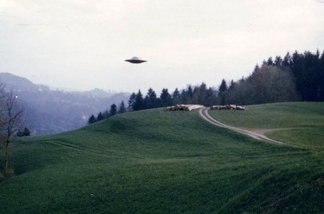 Ufo Aesthetic, Cryptidcore Aesthetic, Ufos Are Real, Chaos Walking, Aesthetic Header, Ufo Art, Flying Saucers, Unexplained Mysteries, Alien Aesthetic