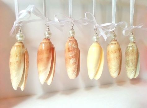 christmas ornaments seashell | Seashell christmas ornaments, beach ornament, olive shells, coastal ... Seashell Christmas Ornaments, Seashell Christmas, Beach Christmas Decorations, Florida Christmas, Seashell Projects, Beachy Christmas, Nautical Christmas, Seashell Ornaments, Stella Marina