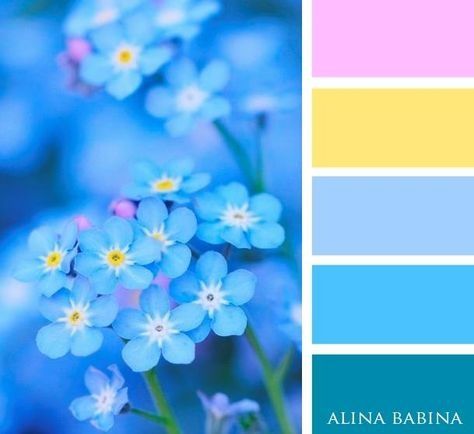 Outlook Blue Pink Yellow Colour Palette, Blue Yellow Pink Color Palette, Blue Pink Yellow Color Palette, Color Schemes Pastel, Blue Yellow Color Palette, Color Palette With Yellow, Yellow And Blue Color Palette, Pastel Blue Color Palette, Pink And Yellow Color Palette