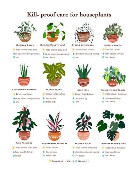 🌿 Kill-Proof Care for Houseplants! 🌿 Do you struggle to keep your houseplants alive? 😅 Don't worry, we've got you covered with these kill-proof plants that even the busiest plant parents can manage! ✨ Top picks for easy care: Krimson Queen: Thrives in bright indirect light and loves to dry out between waterings. 🌞💧 Chinese Money Plant: Enjoys some direct light and low to medium humidity. Easy peasy! 🪴 String of Hearts: Drought-tolerant and loves bright, indirect light. A true survivor! 🌿 M... Garden Notes, Plant Care Instructions, Planting Tips, Plant Mama, Plant Magic, Plant Journal, Orchid Garden, Plant Parent, Chinese Money Plant