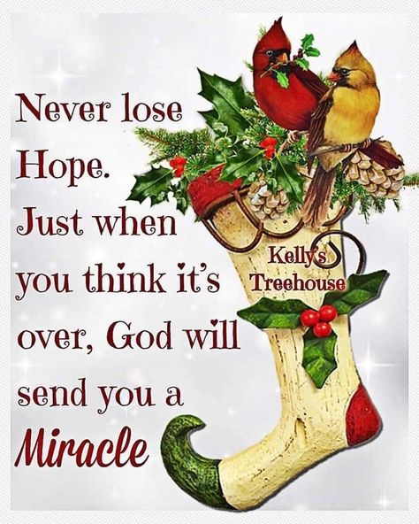 Amén~ 8 December 2022 ♥️✨️🙏✝️🌟🕊🎄🥁👼🏼🎻👑🎩🔔 Cute Christmas Quotes, Christmas Quotes For Friends, Family Christmas Quotes, Christmas Scripture, Bible Verse Memorization, Christmas Thoughts, Peace Scripture, Love Good Morning Quotes, 8 December