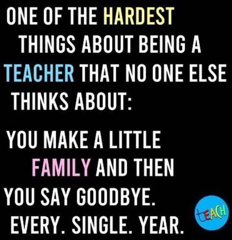 1,738 Likes, 21 Comments - Teacher Status (@teacherstatus) on Instagram: “#teachersofinstagram #teachersfollowteachers #elementaryteacher #teachersofinsta #teachergram…” Classroom Family, Teacher Motivation, Teaching Humor, Teacher Quotes Inspirational, Teaching Quotes, Teacher Boards, Teacher Memes, Classroom Jobs, Teacher Jokes