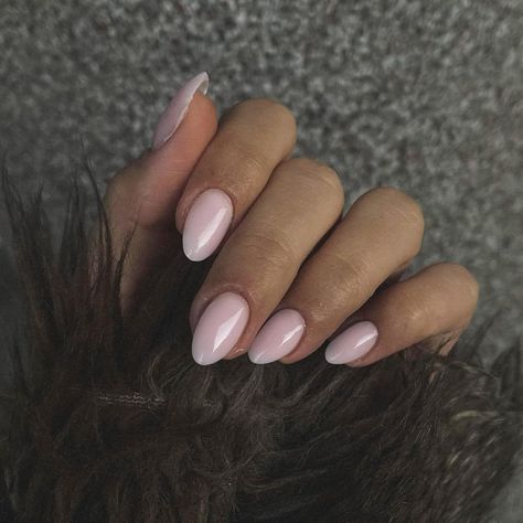 Nail inspo, cute nails, pink nails Pale Pink Almond Nails, Short Oval Acrylic, Nails Soft Gel, Medium Almond Nails, Oval Fake Nails, Nails Short Oval, Silhouette Nails, Oval Acrylic Nails, Pale Pink Nails