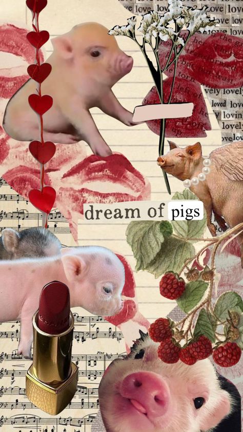 Pig Showing, Pig Pictures, Pig Wallpaper, Cute Piglets, Cow Pictures, Pretty Phone Wallpaper, Simple Iphone Wallpaper, Collage Illustration, Cute Pigs