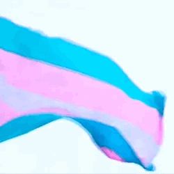 Lgbtq Stimboard, Pride Stim Gif, Pride Stimboard, Trans Stimboard, Flag Gif, Sensory Images, Trans Flag, Sensory Boards, Bad Person