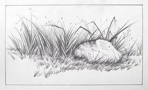 How to Draw Grass - A Step-by-Step Drawing Guide How To Draw Grass Step By Step, Tall Grass Drawing, Grass Drawing Easy, Grass Sketch, Ground Drawing, Church Mural, Different Types Of Grass, Rhino Illustration, Grass Drawing