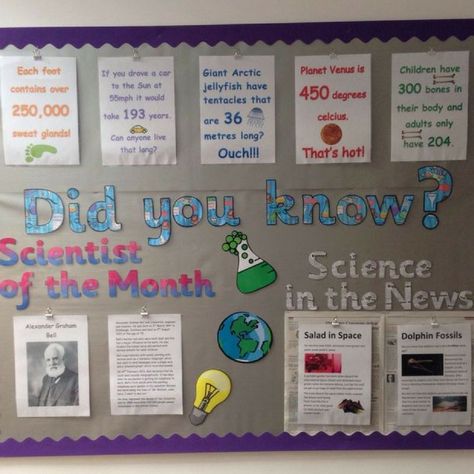 Simple but interesting bulletin board idea for your classroom.Credit: unknown Famous Scientists Bulletin Board, Life Science Bulletin Boards, 5th Grade Science Bulletin Boards, High School Science Bulletin Boards, Life Science Classroom Decor, Science Classroom Display, Science Display Board Ideas, Science Display Board, Science Room Decor Classroom Ideas