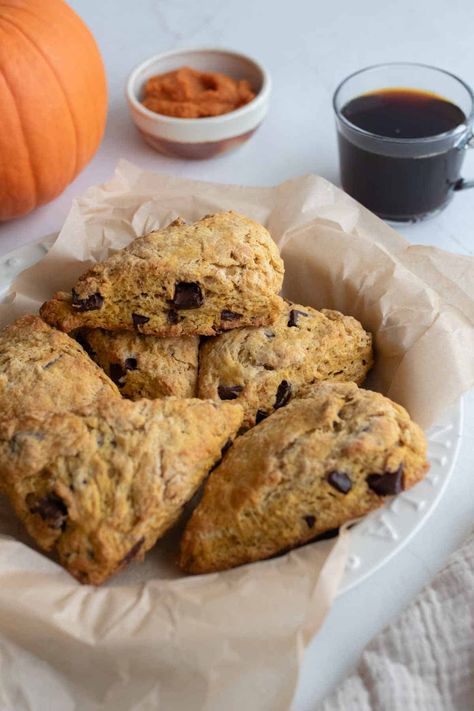 These sourdough pumpkin scones with chocolate chips are delicious, sweet, and full of fall flavors. Quickly mix them together for a fast treat, or you can choose to long ferment for more health benefits. #farmhouseonboone #sourdoughscones #pumpkinscones #pumpkinrn Sourdough Pumpkin Scones, Discard Scones, Sourdough Discard Scones, Sourdough Pumpkin, Food Rotation, Pumpkin Cobbler, Farmhouse On Boone, Pumpkin Ice Cream, Pumpkin Cinnamon Rolls