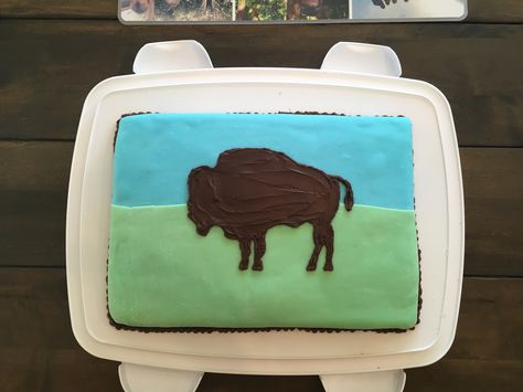 Bison Cake Cake Diy, Diy Cake, Cake Designs, Buffalo, National Park, Sugar Cookie, Birthday Party, Cake, Birthday