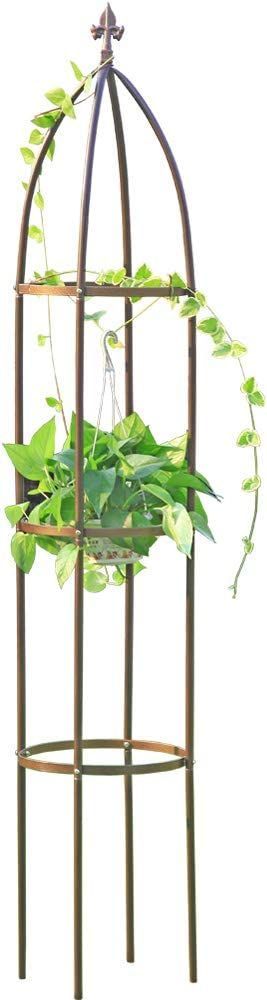 Obelisk Garden Trellis 6.3 Feet Tall Sturdy Plant Support for Climbing Vines and Flowers Stands (4.9 lbs, Dark Bronze) Plant Tower, Metal Garden Trellis, Obelisk Trellis, Vines And Flowers, Plant Trellis, Garden Obelisk, Video Garden, Trellis Plants, Climbing Vines