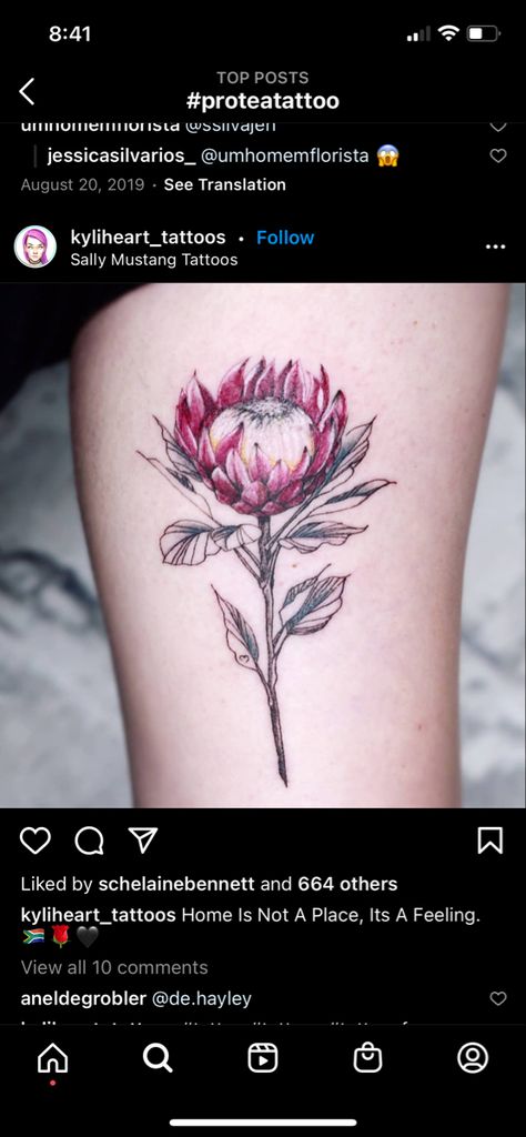 King Protea Tattoo, Protea Tattoo, Thistle Tattoo, Tattoo On Forearm, King Protea, Protea Flower, Ink Inspiration, Small Tattoo, Forearm Tattoos