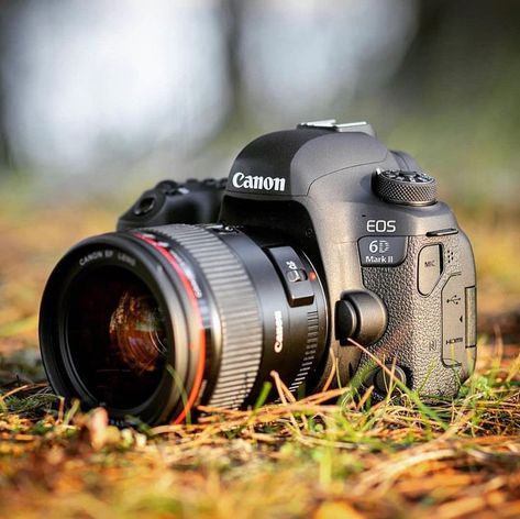 Cannon Camera, Kamera Dslr, Nikon D5000, Canon Dslr Camera, Best Dslr, Infrared Photography, Perspective Photography, Photography Reviews, Canon Dslr