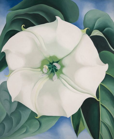 Georgia O'keefe Art, Georgia O Keeffe Paintings, O Keeffe Paintings, Georgia Okeefe, Alfred Stieglitz, Georgia O Keeffe, O Keeffe, Centre Pompidou, Oil Painting Reproductions