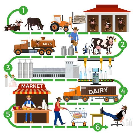 Chain Vector, Industry Illustration, Milk Industry, Mother Dairy, Milk Processing, Process Infographic, Dairy Industry, Classroom Displays, Dairy Milk