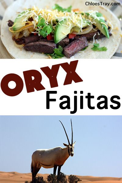 Oryx Fajitas. Oryx?  What?!  I’ve seen those at the zoo!  Yes, you have seen them at the zoo.  They are also wild here in New Mexico.  This Oryx meat was given to us by a friend.  These Oryx Fajitas would have been super delicious with some Hatch Green Chilies in them! – Chloe's Tray Ground Oryx Recipes, Oryx Recipe, Whole 30 Keto, Deer Recipes, Deer Meat Recipes, Game Meat, Deer Meat, Venison Recipes, Wild Game Recipes