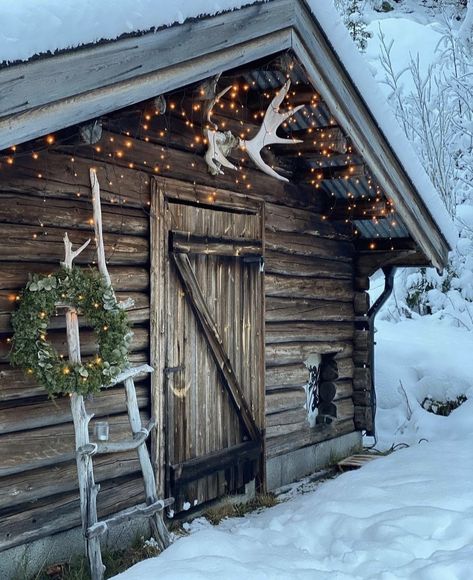 Vintage Christmas Tree Ideas, Cabin Christmas Decor, Holiday Living Room, Holiday Bedroom, Cabin Christmas, Deco Originale, Christmas Tree Ideas, Beautiful Christmas Trees, Christmas Tablescapes