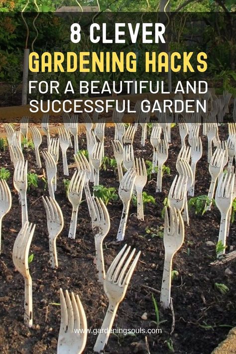 8 Clever Gardening Hacks For a Beautiful and Successful Garden Outdoor Garden Layout, Limited Space Garden Ideas, Cheap Vegetable Garden Ideas, Clever Garden Ideas, Diy Garden Vegetable, Garden Tricks And Tips, Garden For Dummies, Garden Easy Ideas, Veggie Garden Hacks