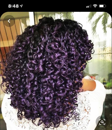 Purple Highlights Curly Hair, Purple Hair Natural, Purple Curly Hair, Curly Purple Hair, Purple Natural Hair, Purple Hair Highlights, Dark Purple Hair, Dyed Curly Hair, Highlights Curly Hair