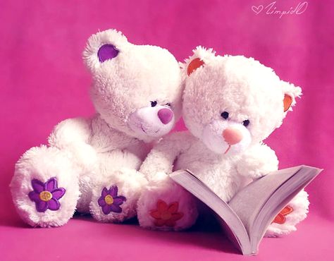 Free download resolution cute teddy bears bear 292042jpg for Desktop, Mobile & Tablet. [1024x800]. 76+ Cute Teddy Bears Wallpapers on WallpaperSafari टेडी बियर, Teddy Images, Happy Teddy Day Images, Photo Ours, Teddy Day Images, Cute Teddy Bear Pics, Teddy Bear Day, Teddy Pictures, Teddy Bear Images