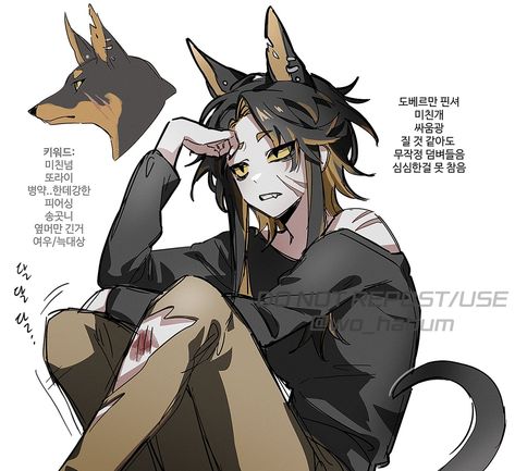 Baker Oc Art, Hybird Oc, Fox Hybrid Oc, Dog Hybrid Oc, Human Fox Oc, Kemonomimi Dog Boy, Boy Oc Character Design, Dog Boy Oc, Mythical Character Design