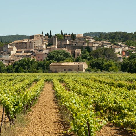 Best Wineries To Visit In Provence - TravelAwaits Regions Of France, France Photos, Loire Valley, Provence France, Cultural Experience, Wine Tour, Wine Region, Saint Martin, French Riviera