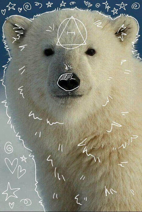 Bear Therian, Bear Pfp, Bear Animal, Maybe In Another Life, Animal Doodles, Vines Funny Videos, Mythical Animal, Cool Masks, Cat Mask