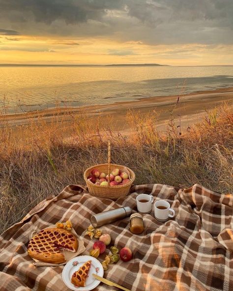 Autumn Picnic, Cosy Aesthetic, Fall Picnic, Picnic Inspiration, Fall Mood Board, Cosy Winter, Fall Mood, Cozy Aesthetic, Fall Feels