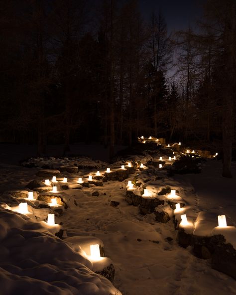 Fu Dog, Botanic Gardens, Witchy Woman, Cozy Place, Winter Night, Winter Solstice, Forest Wedding, Lantern Lights, Yule