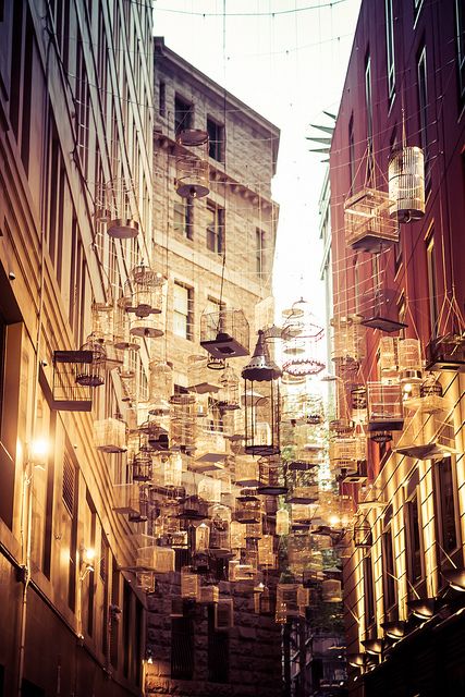 Angel Place Birdcages, Sydney, Australia. Interesting Photography, Visit Sydney, Wales Travel, Australia Photos, Birdcages, Art Exhibit, Visit Australia, Queenstown, Insta Inspo