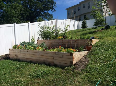 Steep Slope Vegetable Garden, Planter Box On Hillside, Planter Boxes On A Slope, Raised Garden Beds On A Hill Sloped Yard, Vegetable Garden Sloped Yard, Vegetable Garden Slope, Easy Terrace Garden Ideas, Irrigation Raised Garden Beds, Fencing Sloped Yard