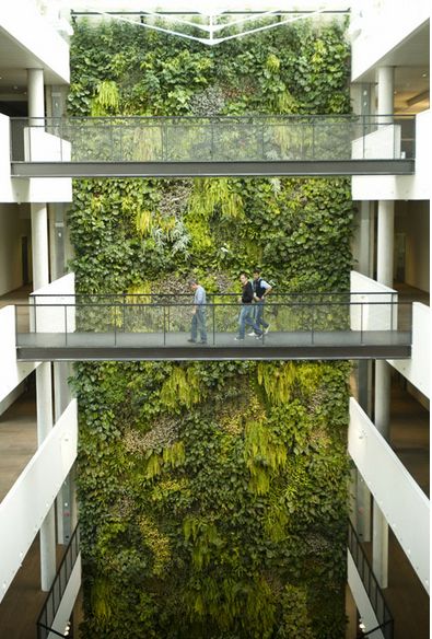 diesel office. Green Building Architecture, Vertical Garden Indoor, Vertical Garden Design, Green Facade, Vertical Gardens, Garden Architecture, Green Architecture, Sustainable Architecture, Living Wall