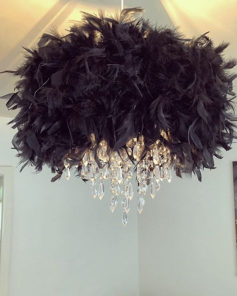 Black Feather Chandelier Light Shade Peach Chandelier, Feather Light Shade, Grey Chandelier, Feather Chandelier, Feather Lamp, Beaded Lampshade, Salon Suites Decor, Girly Apartment Decor, Lucky Fortune