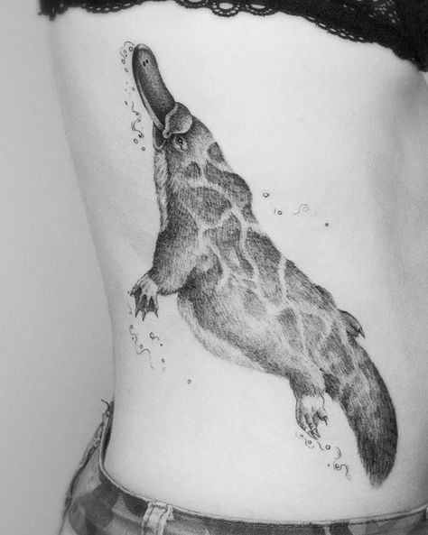 Australia Animals Drawings, Platypus Tattoo, Print Making Designs, Australia Tattoo, Tattoo Reference, Gemini Tattoo, Australia Animals, Leg Tattoo, Australian Birds