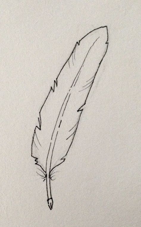 A quill pen for my good friend Ghost. I hope this helps! And good luck! Quill Drawing, Quill Pen, My Good, Drawing Ideas, Good Luck, Ghost, I Am Awesome, I Hope, Pen