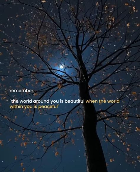 Peace Quotes Aesthetic, Amazing Quotes Deep, Beautiful Metaphors, Aesthetic Poetic Quotes, Cosmic Quotes, Quotes About Nature, Aesthetics Quote, Poetic Quote, Words That Describe Feelings