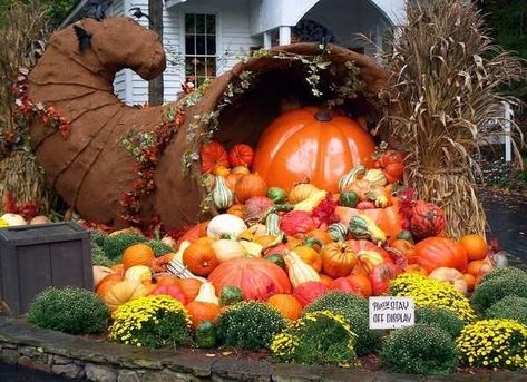 The 22 Coolest Pumpkin Displays Across the Country: Dollywood's Great Pumpkin LumiNights in Pigeon Forge, TN Store Pumpkin Display, Pumpkin Displays Outside, Old Westbury Gardens, Pumpkin Festival, Large Pumpkins, Giant Pumpkin, Pumpkin Display, Large Pumpkin, Fall Is In The Air