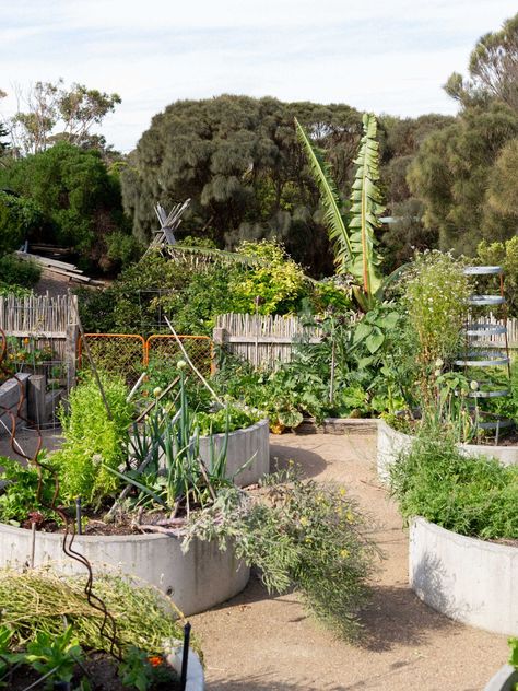 Fiona Brockhoff's Sublime Garden Wonderland - Wonderground Australian Vegetable Garden, Fiona Brockhoff Coastal Gardens, Bees Project, Garden Wonderland, Inspiring Gardens, Sustainable Garden Design, Vege Garden, Productive Garden, Veggie Gardens