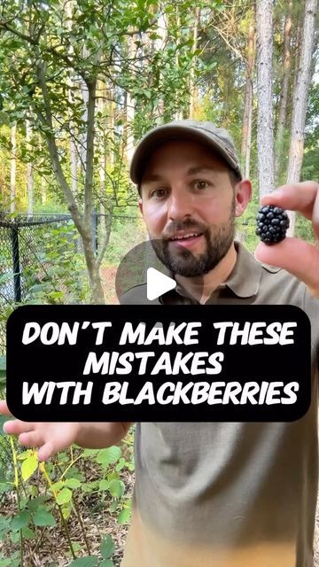 𝐆𝐚𝐫𝐝𝐞𝐧𝐢𝐧𝐠 | 𝐏𝐥𝐚𝐧𝐭𝐢𝐧𝐠 | 𝐇𝐚𝐫𝐯𝐞𝐬𝐭𝐢𝐧𝐠 on Instagram: "How to properly grow BLACKBERRIES 🥰
-
This video belongs to @theplanttechie so go check out their Instagram. Don’t forget to follow for more knowledgeable gardening tips @gardeners.academy ! 💚

This is shared for the purpose of spreading positivity. If the content OWNER (visual/audio) of this post has any issue, dm me  and I’ll remove the post.
-
(All rights® are reserved & belong to their respective owners)
-
Credits🎥 @theplanttechie 
Publisher 🎬@gardeners.academy
-

#blackberries #fruit 

#gardening #garden #backyardgardening #gardenlove #veggiegarden #indoorplants" Grow Blackberries, Growing Blackberries, Bush Garden, Berry Picking, Berry Bushes, Gardening Diy, Spreading Positivity, School Garden, Grow Your Own Food